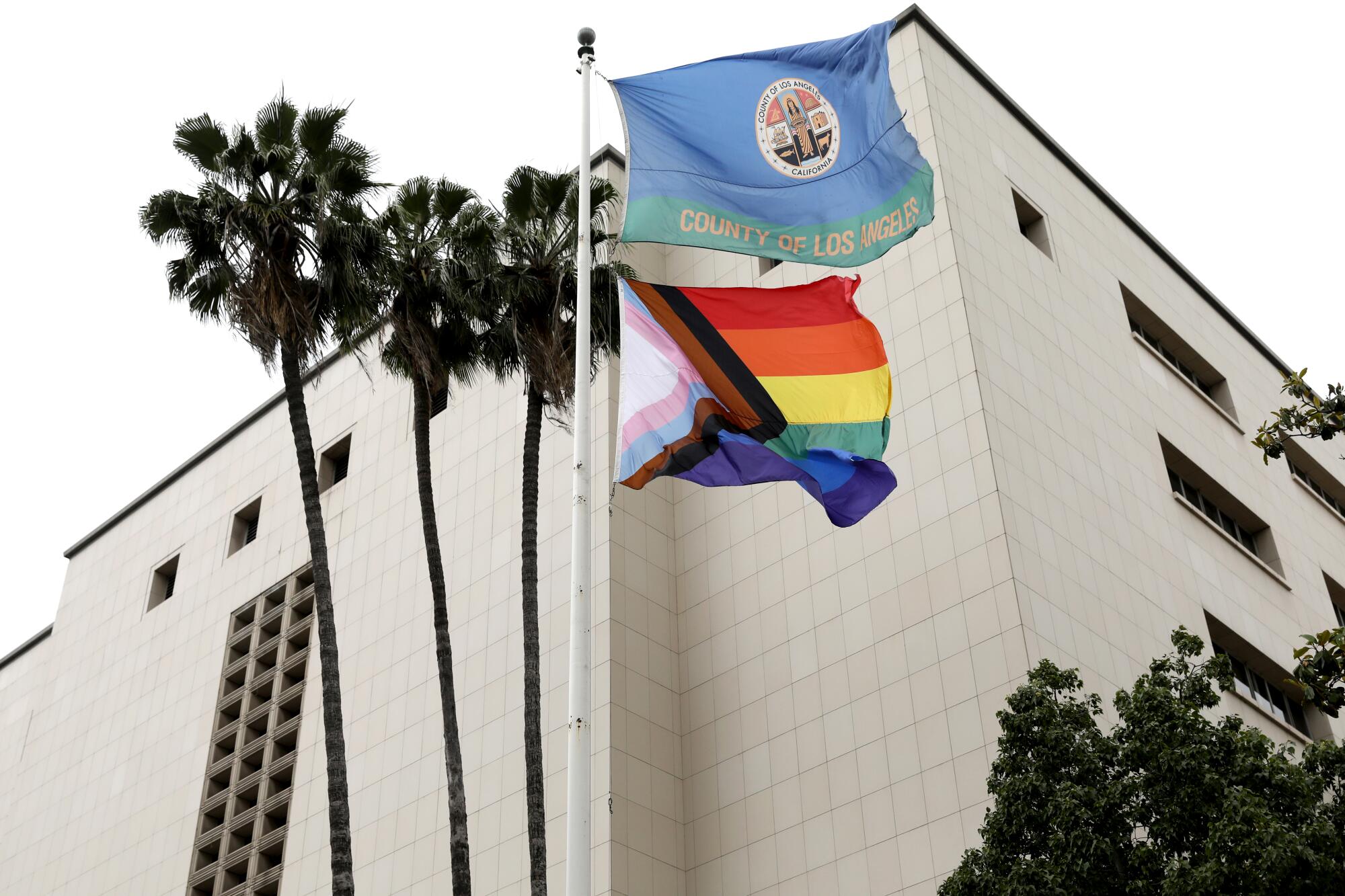A building with palm trees and a blue flag and a pride rainbow flag outside