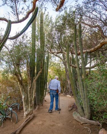 Clark Moorten walks through Moorten Botanical Garden in Palm Springs