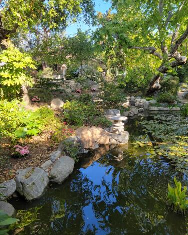 Storrier Stearns Japanese Garden pond and teahouse barely visible up the hill behind the trees.
