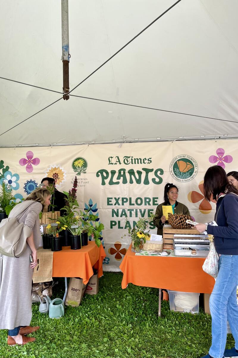 Guests check out the tables inside the L.A. Times Plants booth at Festival of Books in 2024.